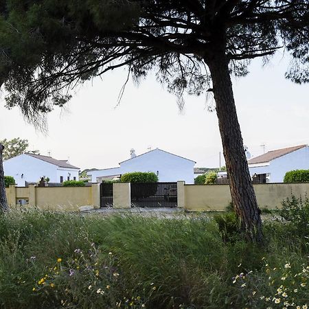 Villas Perez Zara Кониль-де-ла-Фронтера Экстерьер фото